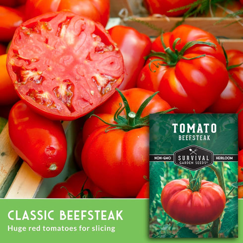 (1 Pack) Beefsteak Tomato Seeds for Planting Heirloom Indeterminate Tomatoes Large Red Fruit with Classic Flavor High