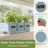 Set PERFNIQUE Indoor Herb Garden, Herb Garden Planter with Tray, Farmhouse Indoor Plant Pots, Windowsill Herb Garden