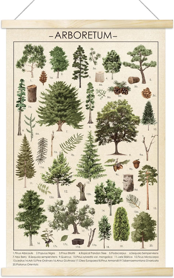 Tevxj Vintage Tree Poster Plant Wall Art Prints, Rustic Style Arboretum Wall Hanging Illustrative Reference Chart for