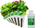 6-Pod AeroGarden Mixed Romaine Lettuce Seed pod Kit