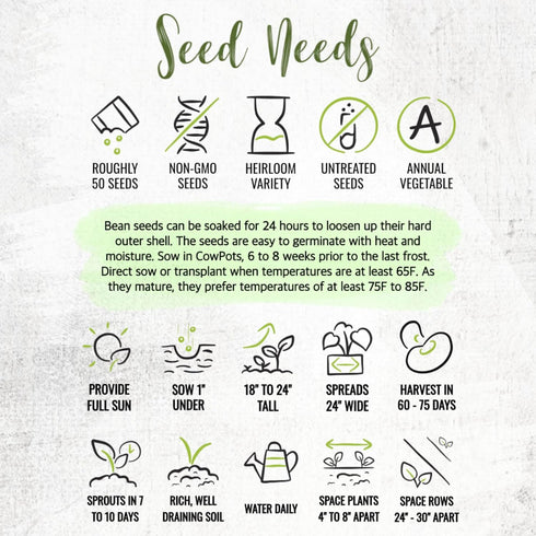 Seed Needs Lima Bean Seeds for Planting Henderson Lima Beans - Non-GMO Heirloom & Untreated Vegetable Seed to Plant a