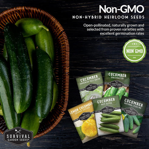 Packets Survival Garden Seeds Cucumber Collection - Mix of Armenian, Beit Alpha, Lemon, National Pickling