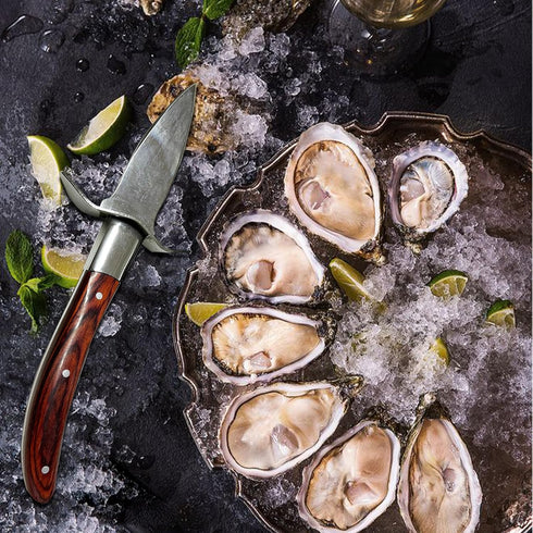 Oyster Shucker, 2 Set Oyster Shucking Knife Tool Kit, Stainless Steel Knives with Wooden Handle and Gloves for Clam