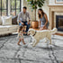 5x8 FinRec Area Rugs for Bedroom Living Room, Feet Fluffy Shaggy Rug, Non-Slip Soft Shag Rug for Nursery Kids Room Dorm