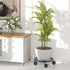 Chinpakden 10.24" 360 Plant Caddy with Wheels - Plant Stand with Wheels, Lockable Plant Rollers Plant Dolly, Plant Tray