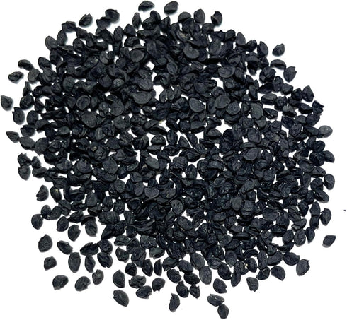 (1 Pack) Seed Needs Onion Seeds for Planting Walla Walla Long Day Onions - Non-GMO Heirloom & Untreated Vegetable Seeds