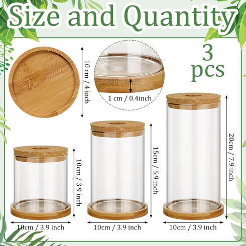 3 3 Office(Common Maxcheck Pcs Sizes Plant Propagation Station Separated Glass Plant Terrarium Water Hydroponic Planter