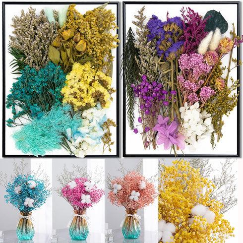 Vignee Real Dried Pressed Leaf Flowers, Colorful Daisies for Craft Resin Jewelry Making Art Craft DIY (Blue & Purple)