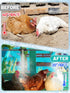 Summer 39.4ft 3/4" 11 Nozzles, Pre-Assembled Chicken Coop Misting System for Cooling - Leak-Resistant Mist Hose Kit