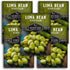 Lima Bean Seeds for Planting Henderson Butter Bean Seeds for Gardens &