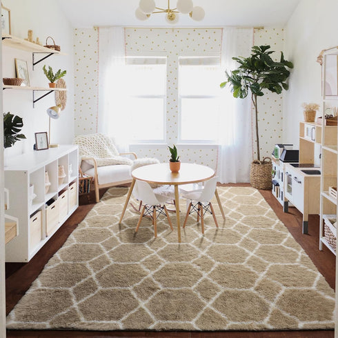 5x7 ONASAR Area Rugs for Living Room Bedroom, Fluffy Beige and White Shag Rug, Geometric Boho Soft Plush Shaggy Floor