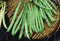 Dirt Goddess Super Seeds ~ Provider Bush Bean Seeds (1 LB) Bulk