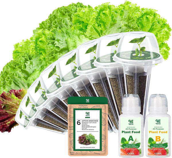 Lettuce Seed Pod Kit, Romaine, Butter Head, Red Sail, Red&Green Leaf, Red