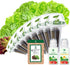 Lettuce Seed Pod Kit, Romaine, Butter Head, Red Sail, Red&Green Leaf, Red