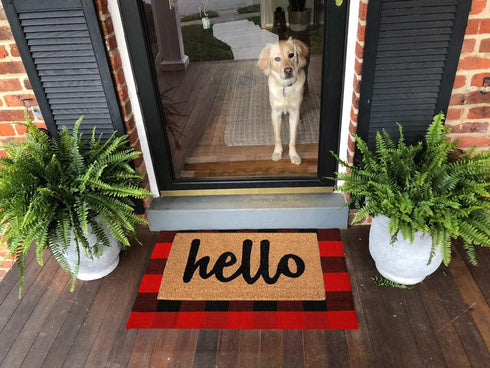 Ukeler Christmas Buffalo Check Rug 2'×3'- Machine Washable Buffalo Plaid Outdoor Doormat, Buffalo Plaid Rug for Front Porch/Kitchen/Sink/Bathroom