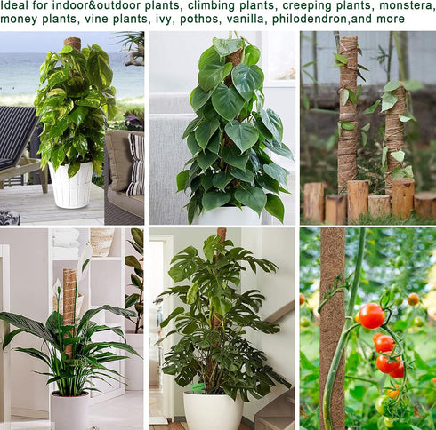 47.5 Inch 4 Packs 16 Inch Fabulas Moss Pole - Monstera Plant Support, Plant Stakes for Indoor Plants Coco Coir Moss