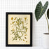 Ink Inc. Botanical Prints Wall Art, Medicinal Plants and Herbs, Set of 9, 5x7 Inches, Unframed