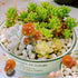 3pcs Resin Mushroom Miniature Fairy Garden Decoration Accessories Sculptures Statues,Yard Decor for Outside Gnomes