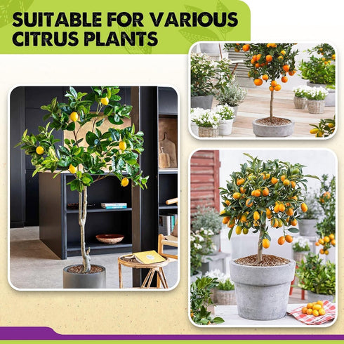 4-in-1 (10 DUSPRO Recycle Citrus Tree Potting Soil Mix for Potted Lemon Tree, Specialized for Oranges, Fruit Tree