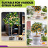 4-in-1 (10 DUSPRO Recycle Citrus Tree Potting Soil Mix for Potted Lemon Tree, Specialized for Oranges, Fruit Tree