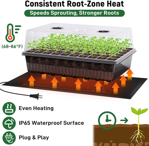 60-Cell DazSpirit Self-Watering Seed Starter Kit with Grow Light and Heat Mat, Seedling Tray with Humidity Dome, Indoor