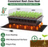 60-Cell DazSpirit Self-Watering Seed Starter Kit with Grow Light and Heat Mat, Seedling Tray with Humidity Dome, Indoor