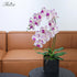 Fnize Faux Orchid Stems, 2pcs Artificial Flowers Phalaenopsis 38 Inch with Real Touch Latex