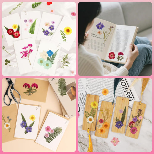 420 NESCCI Pcs Dried Pressed Flowers for Resin,Real Nature Dried Flowers for Crafts Bulk Dry Flowers Leaves Kit Used