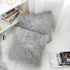 WLNUI Set of 2 Light Grey Decorative Pillow Covers, Luxury Merino Style Faux Fur Fluffy Cushion Case