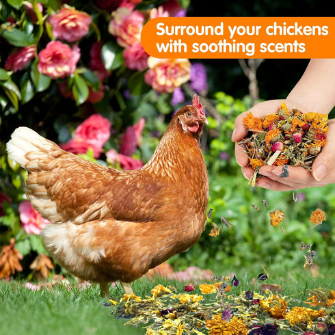 CLOCAL 14.8 Oz 10 Nesting Herbs for Chicken Coop - Natural Dried Herbs for Chicken Coop Accessories, Hens Accessories