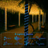 33FT 100 8 ANJAYLIA LED Solar Rope Lights Outdoor Waterproof, Solar Powered Rope String Lights with Modes for Outdoor