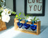 3-Heart Kingbuy Plant Terrarium Kit with Vintage Wood Stand - Stained Glass Vase Propagation Station, Wall-Mounted