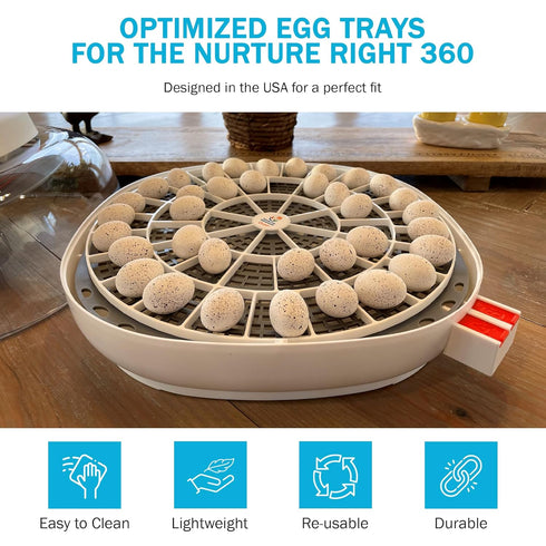 48 360 Incubator Warehouse Egg Trays for Small Quail/Bird Eggs - Durable Egg Tray for Nurture Right Egg Incubator