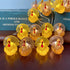 3D 8ft 20 JASHIKA Fall Harvest Turkey String Lights, Cute Decorative Lights Copper Wire LEDs Battery Powered