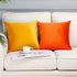 MZPSO Pack of 2 Velvet Super Soft Solid Decorative Square Throw Pillow Covers, 18 x 18 Inch for Sofa Bedroom