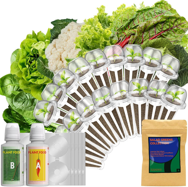 LYKOCLEAN Salad Buttercrunch Lettuce Seeds for AeroGarden, iDOO, Ahopegarden Hydroponics Growing System,