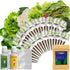 LYKOCLEAN Salad Buttercrunch Lettuce Seeds for AeroGarden, iDOO, Ahopegarden Hydroponics Growing System,