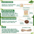 8 Pcs Bamboo Dish Brush Dish Washing Scrub Bottle Brush Wooden Palm Pot Brush Cleaning Scrubbers with Natural Sisal