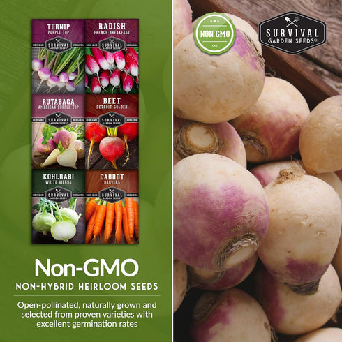 Pack 6 Root Vegetable Seeds for Planting Variety Heirloom Non-GMO Root Crops: Carrots, Turnips, Radishes, Kohlrabi