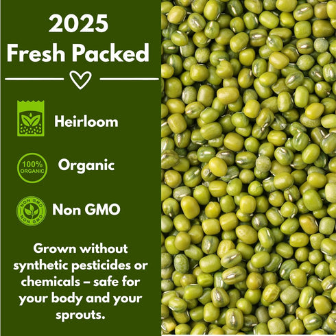 (8 Oz.) Mung Bean Sprouting Seeds - NON GMO- Resealable Bag for Longer Freshness Rich in Vitamins, Minerals, Fiber