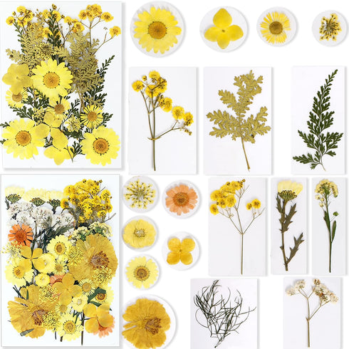 BIHRTC 100PCS Dried Pressed Flowers, Assorted Real Dried Leaves for Resin Scrapbooking DIY Candle Accessories