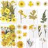 BIHRTC 100PCS Dried Pressed Flowers, Assorted Real Dried Leaves for Resin Scrapbooking DIY Candle Accessories