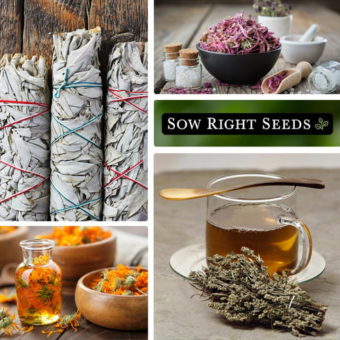 Sow Right Seeds - Extra Large Medicinal Herb Seed Collection for Planting - Lemon Balm, Lavender, Yarrow, Echinacea