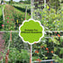 YHmall 2 Pack 5x15 Ft Heavy Duty Trellis Netting for Climbing Plants with 50 Pcs Garden Ties, Outdoor Grow Net
