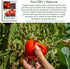 100+ Rutgers Tomato Seeds (Solanum lycopersicum) Non GMO & Heirloom Seeds, Balanced Flavor All Purpose Tomato Variety