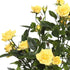 Vickerman 15" Artificial Yellow Mini Diamond Rose Bush - Pack of 5 - Premium Faux Flowers for Wedding or Home Decor