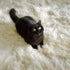 5Ft, PAGISOFE Cream White Round Rugs Fluffy Shaggy Ivory Carpets, Rugs for Girls Boys Baby Kids Bedroom, Indoor Furry