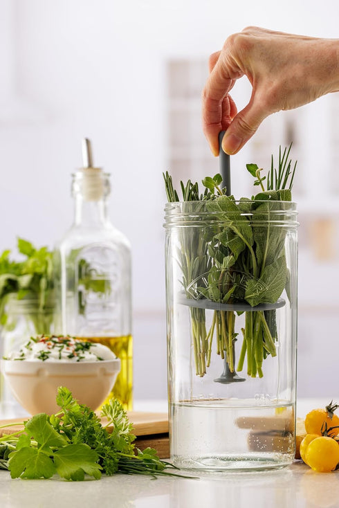 Set 3 1L Kilner Herb Keeper | Keep Herbs Fresh for Up to Weeks | Wide Mouth Jar with Stainless Steel Lid & Silicone