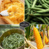 Three Sisters Collection Seed Vault - Non-GMO Heirloom Seeds for Planting Vegetables - Sweetcorn, Butternut Winter