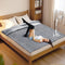 Tisancy King Size Waterproof Blanket for Bed Couch, 80'' x 60'' Double